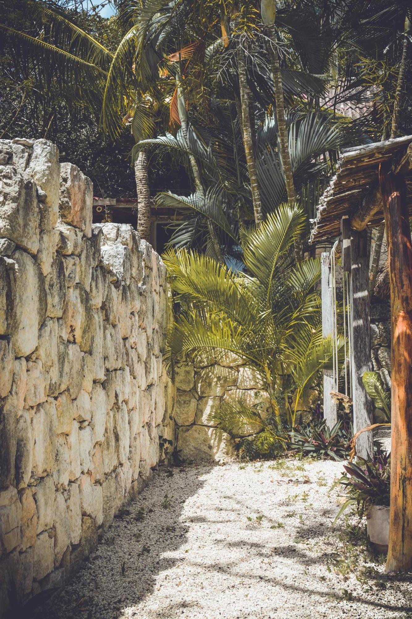 Tortuga Bacalar Bed & Breakfast Exterior foto